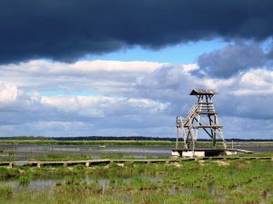 Ceļojumi un ekskursijas pa Latviju, Lietuvu un Igauniju (Baltiju) | Uzzini - Iepazīsti