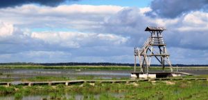 Ceļojumi un ekskursijas pa Latviju, Lietuvu un Igauniju (Baltiju) | Uzzini - Iepazīsti